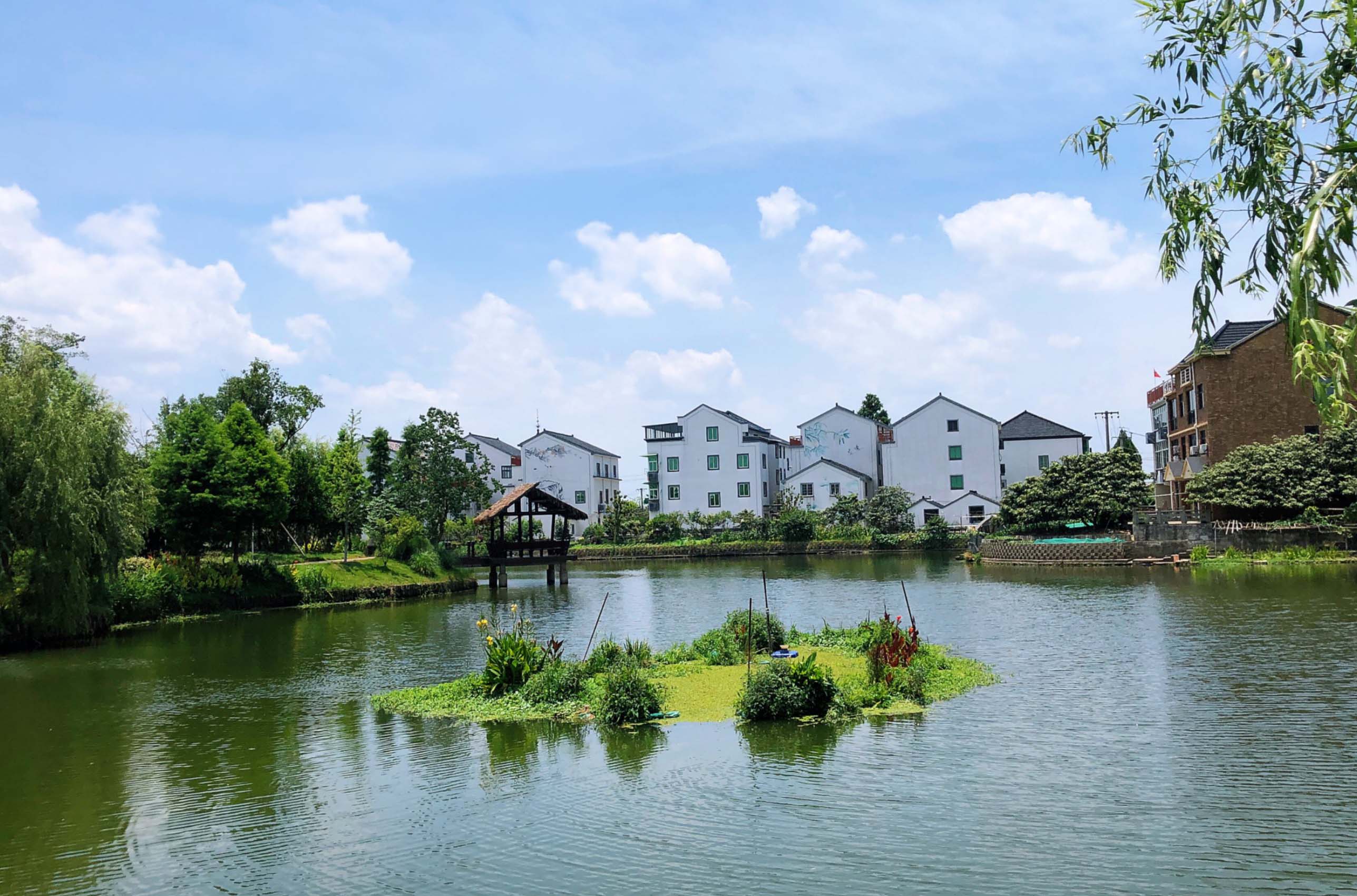 临平塘栖村